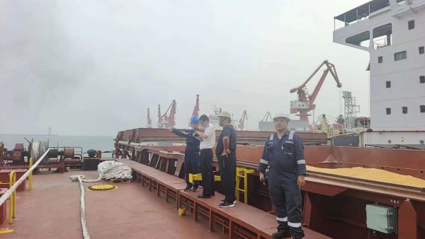 董家口业务中心顺利完成董家口港区第一条巴西玉米散货船检验任务-照片1.jpg